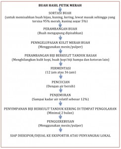 proses pengolahan kopi